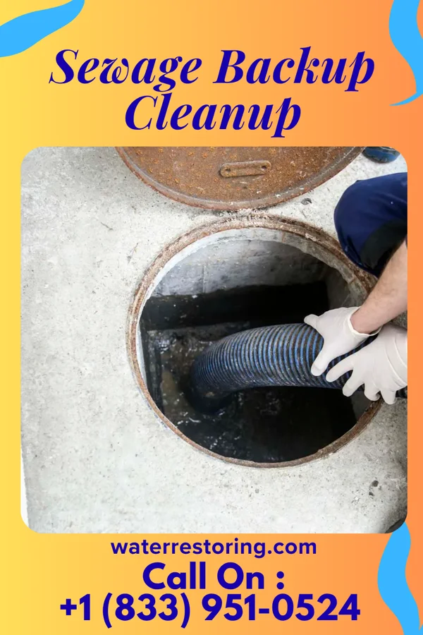 Sewage Backup Cleanup in Ward, CO